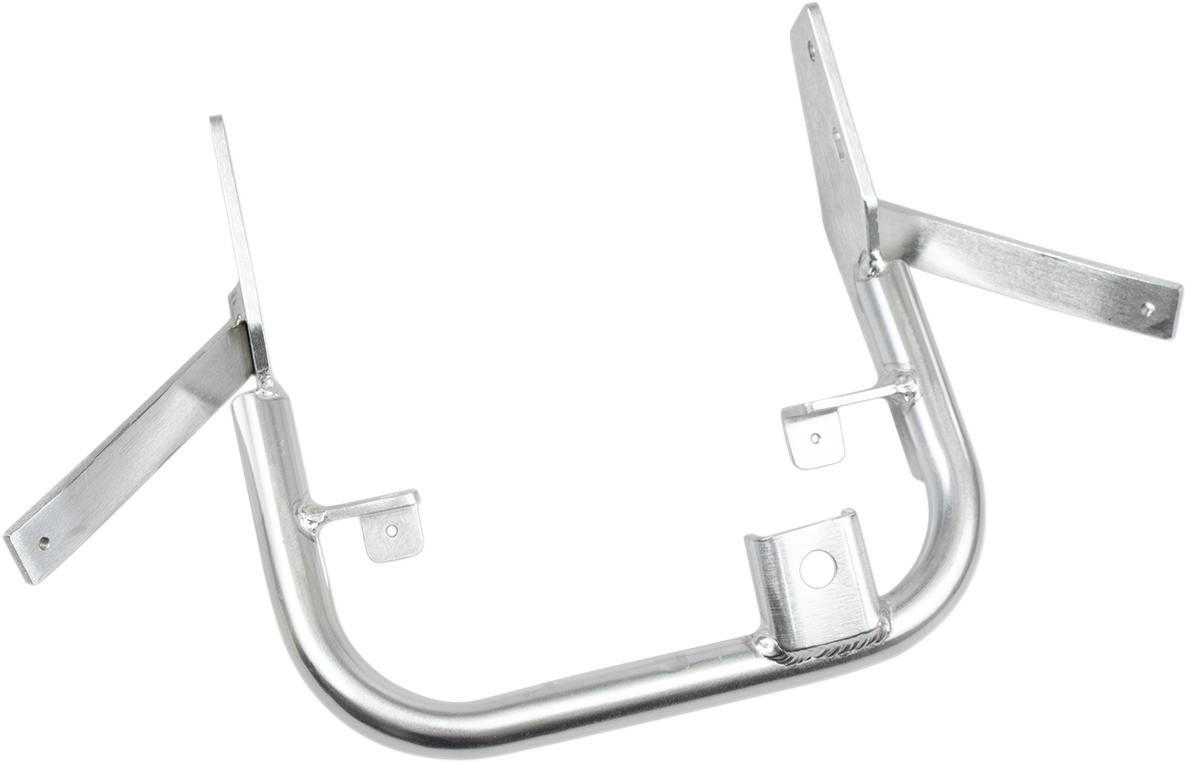 DG PERFORMANCE Grab Bar - LT-R 450 59-6345