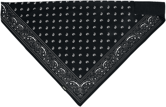 ZAN HEADGEAR SportFlex Bandana - Black Paisley BL101