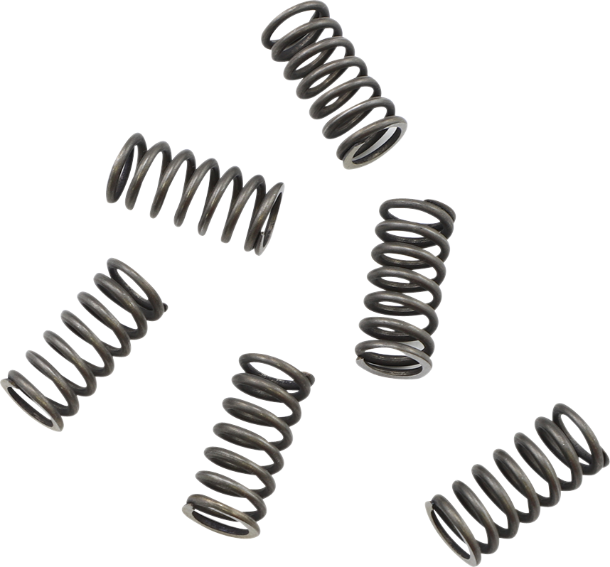 KG POWERSPORTS Clutch Spring Set KGS-003