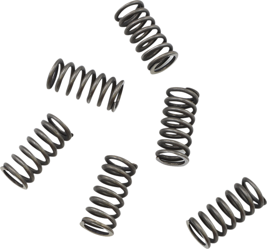 KG POWERSPORTS Clutch Spring Set KGS-003