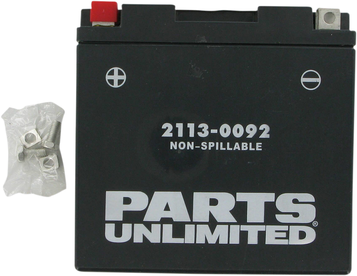 Parts Unlimited Agm Battery - Yt14b4 Ct14b4