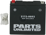 Parts Unlimited Agm Battery - Yt14b4 Ct14b4