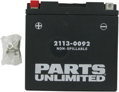 Parts Unlimited Agm Battery - Yt14b4 Ct14b4