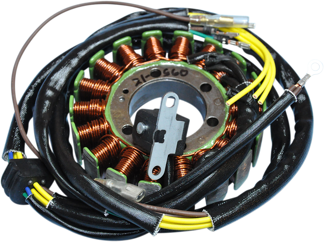 RICK'S MOTORSPORT ELECTRIC Stator - Polaris 21-560