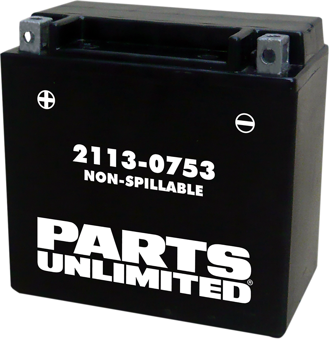 Parts Unlimited Agm Battery - Ytx14 Ctx14