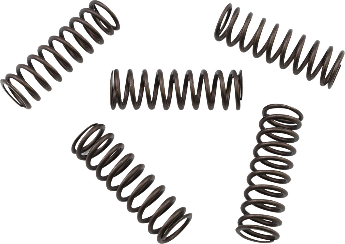 KG POWERSPORTS Clutch Spring Set KGS-805