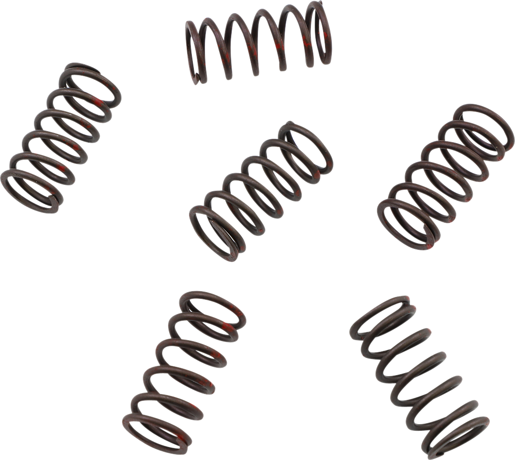 KG POWERSPORTS Clutch Spring Set KGS-802