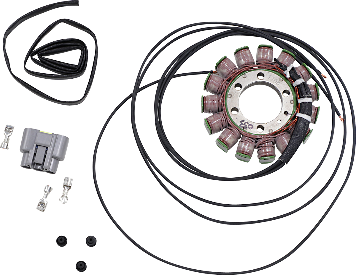 RICK'S MOTORSPORT ELECTRIC Stator - BMW 21-033