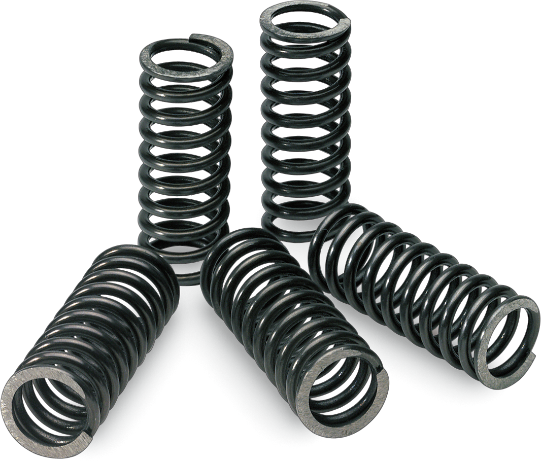 PRO CIRCUIT Clutch Springs CSK19450-CS