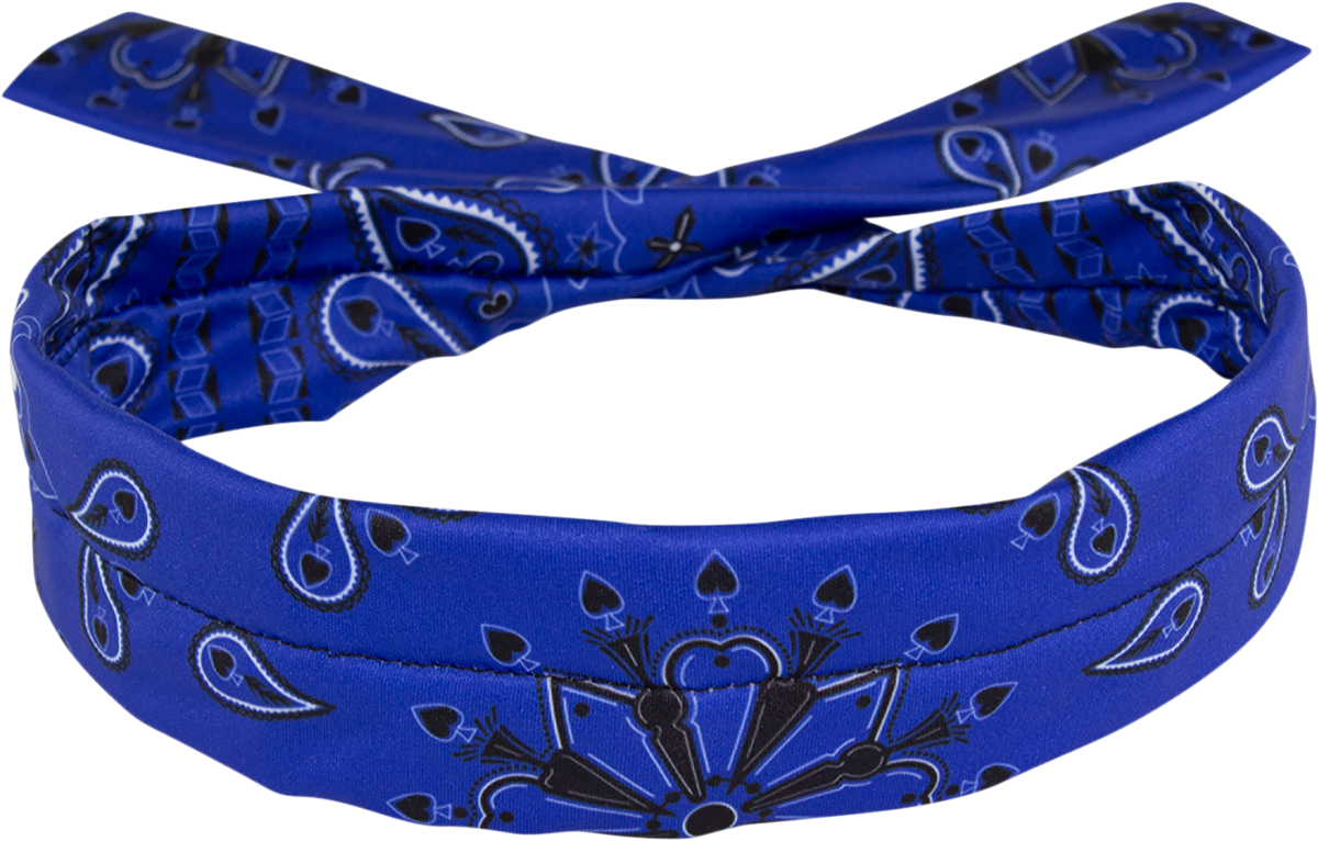 ZAN HEADGEAR Polyester Cooldanna - Blue Paisley DP111