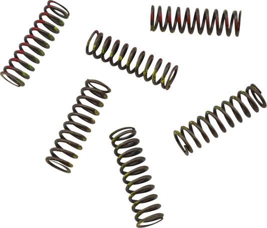 KG POWERSPORTS Clutch Spring Set KGS-043