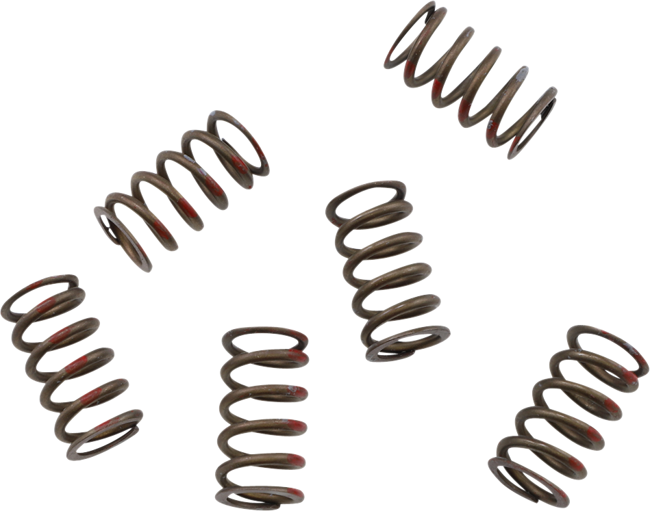 KG POWERSPORTS Clutch Spring Set KGS-024