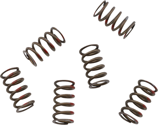 KG POWERSPORTS Clutch Spring Set KGS-024