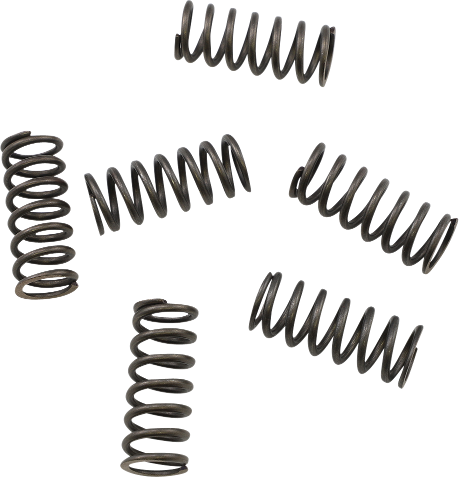 KG POWERSPORTS Clutch Spring Set KGS-052