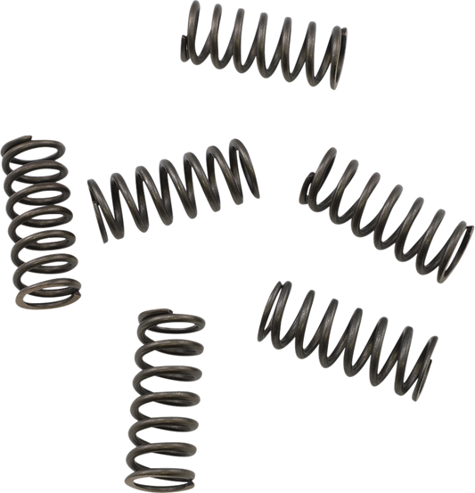 KG POWERSPORTS Clutch Spring Set KGS-052