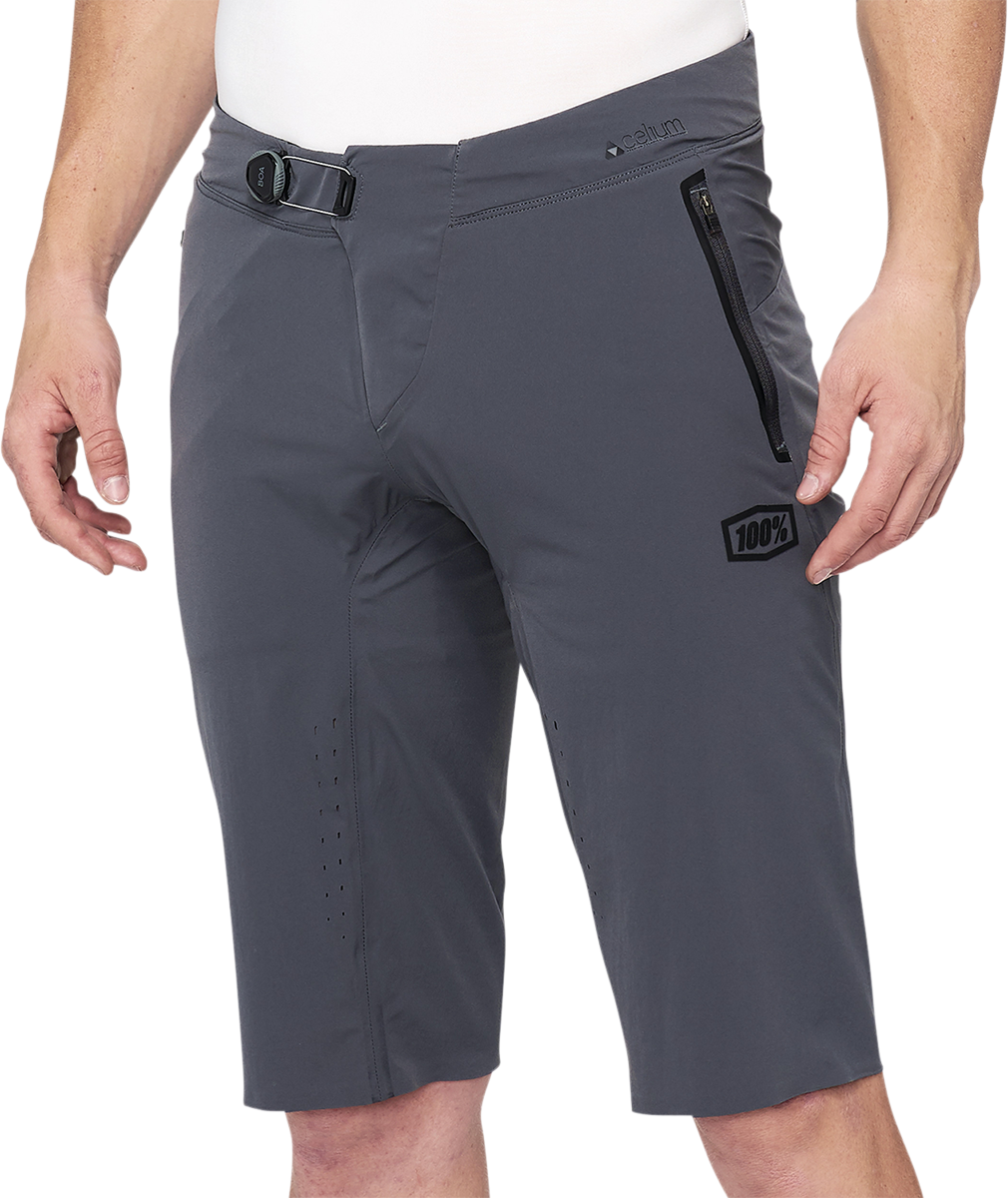 100% Celium Shorts - Charcoal - US 28 40012-00007