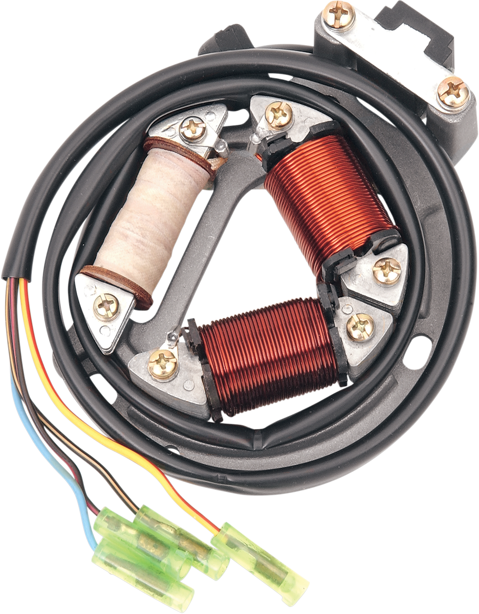 RICK'S MOTORSPORT ELECTRIC High-Output Stator - Suzuki 21-802H