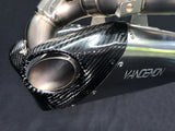 Vandemon Ducati Panigale 899,959,1199,1299 Titanium Belly Exhaust System 2011-18   DUC129TIEXBELA VA-122