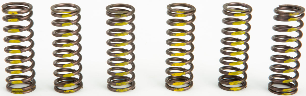 PRO CIRCUIT Clutch Springs CSS05450