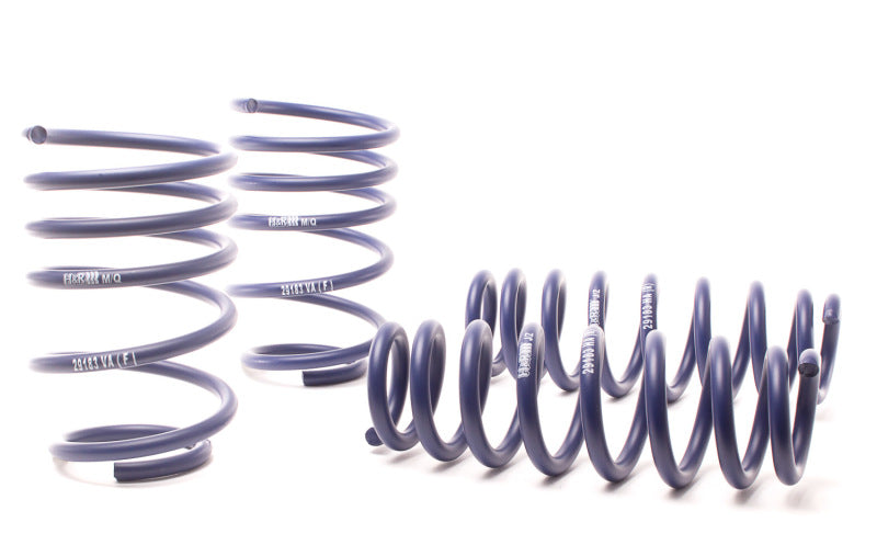 H&R 07-11 BMW 328i Sedan/335i Sedan E90 Race Spring 50490-88
