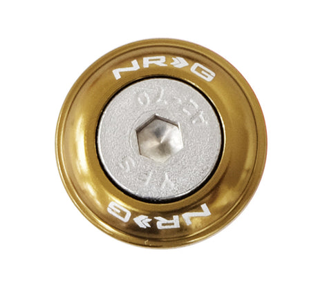 NRG Fender Washer Kit w/Rivets For Plastic (Titanium) - Set of 10 FW-100TI