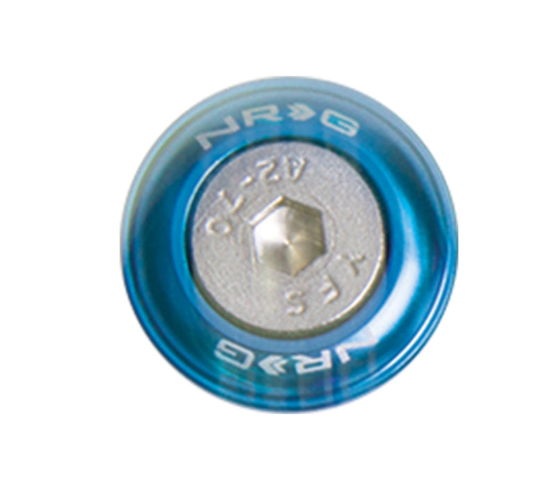 NRG Fender Washer Kit w/Rivets For Metal (Blue) - Set of 10 FW-110BL