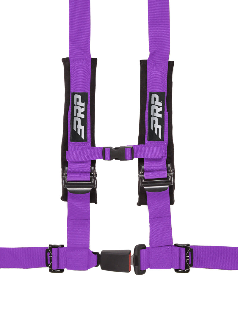 PRP 4.2 Harness- Purple SBAUTO2PU