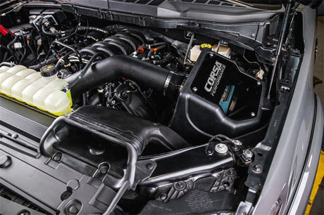 Corsa 21-22 Ford F-150 5.0L V8 Air Intake PowerCore Filter 491506