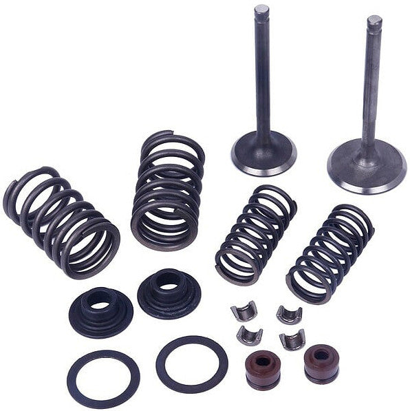 MOGO PARTSValve Kit V-20061-0221