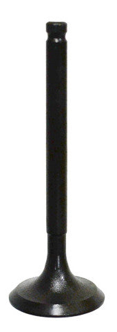 BRONCO Intake Valve AU-09163I