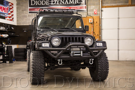Diode Dynamics 12 In LED Light Bar Single Row Straight Clear Driving (Pair) Stage Series DD5015P