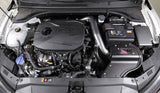 AEM C.A.S. 19-20 Hyundai Veloster L4-1.6L F/I Cold Air Intake 21-872C