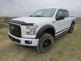 EGR 15+ Ford F150 Superguard Hood Shield - Matte (303475) 303475