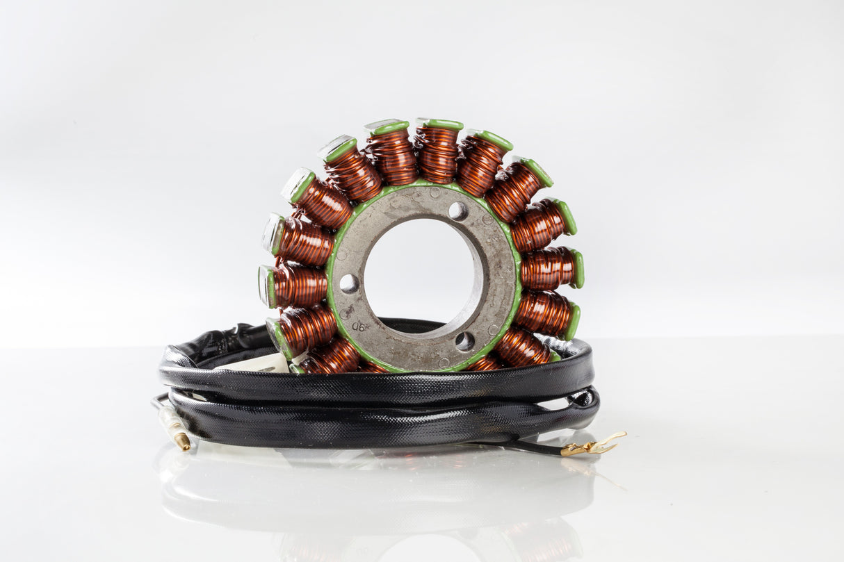 RICKS Stator 21-228