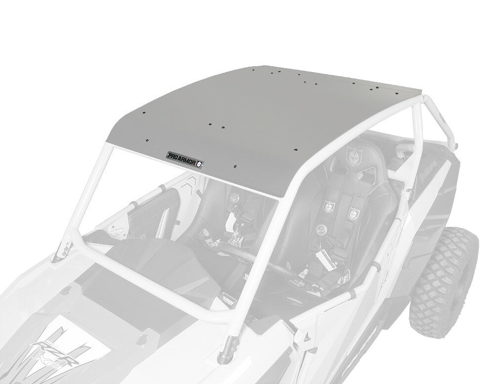 PRO ARMOR Asylum Roof Titanium Matte Metallic P141295TMM