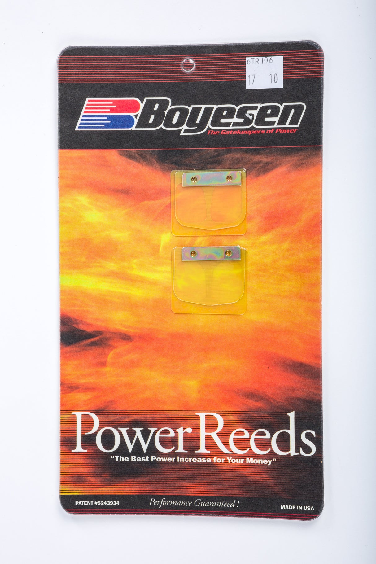 BOYESEN Motorcycle Reeds 6TR106