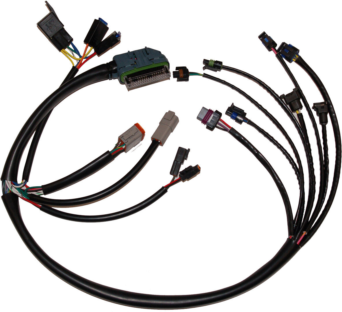 NAMZ CUSTOM CYCLEComplete Efi Harness 02-03NHD-70233-02
