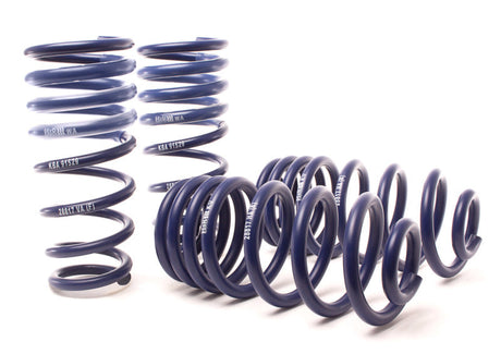 H&R 14-18 BMW X5 xDrive35d/X5 xDrive35i F15 Sport Spring (w/o Self-Leveling/Non 2WD) 28817-3