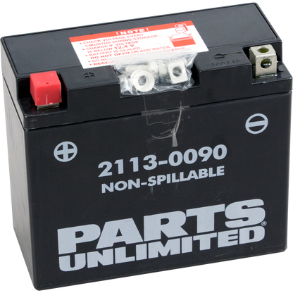 Parts Unlimited Agm Battery - Yt12b4/Yt12b-Bs Ct12b4