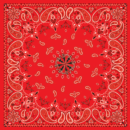 ZAN Bandanna Red Paisley B003