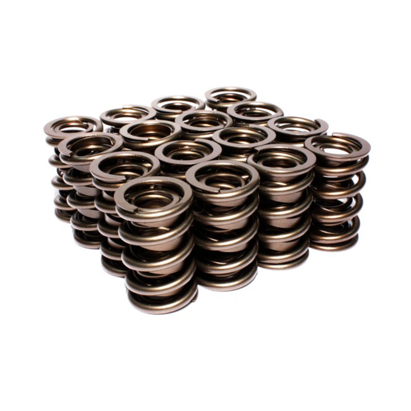 VALVE SPRINGS 5745
