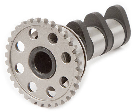 HOT CAMS Racing Cam Stage 2 4089-2IN