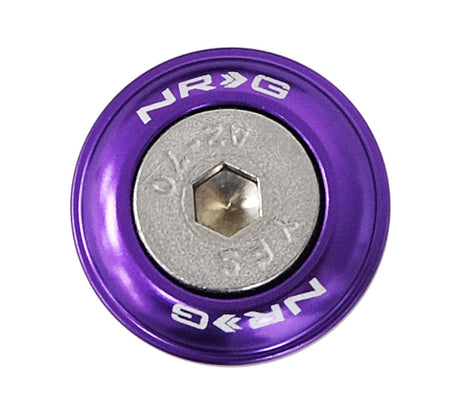 NRG Fender Washer Kit w/Rivets For Plastic (Purple) - Set of 10 FW-100PP