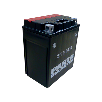 Parts Unlimited Agm Battery - Ytx14ahbs .798l Ctx14ah-Bs