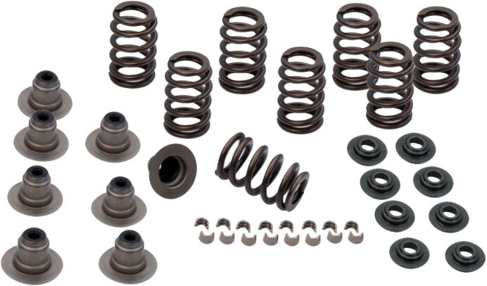ROCKET PERFORMANCE GARAGE LLC Spring Kit .650 Lift Tc 04-17 Xl 04-18 4-4102