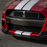 Ford Racing 20-21 Mustang GT500 Carbon Fiber Bumper Insert M-17750-MCF