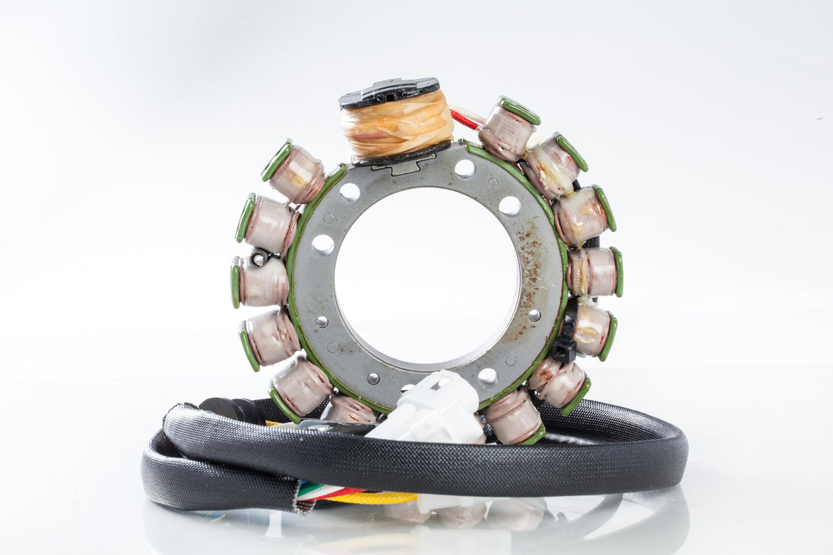 RICKS Stator 21-911