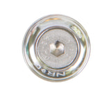 NRG Fender Washer Kit w/Rivets For Metal (Silver) - Set of 10 FW-110SL