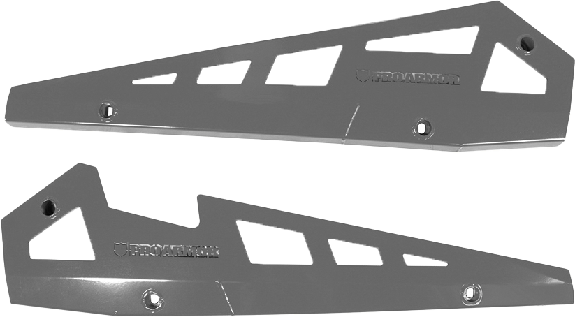 PRO ARMOR Rock Sliders Titanium Metallic Pol P141221TM
