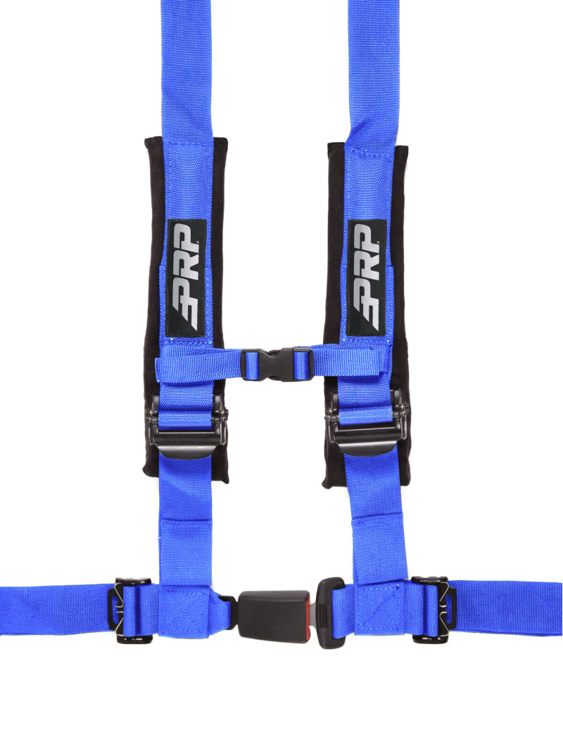 PRP 4.2 Harness- Blue SBAUTO2B